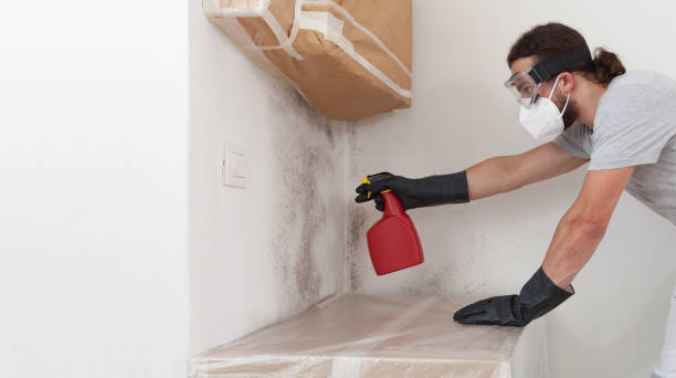 Professional Mold Testing technician working in Street, MD